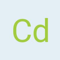 Avatar Carlynn de Waal-Smit