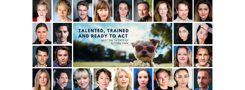 Logo Meet The Talents